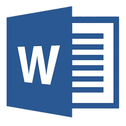 MS Word